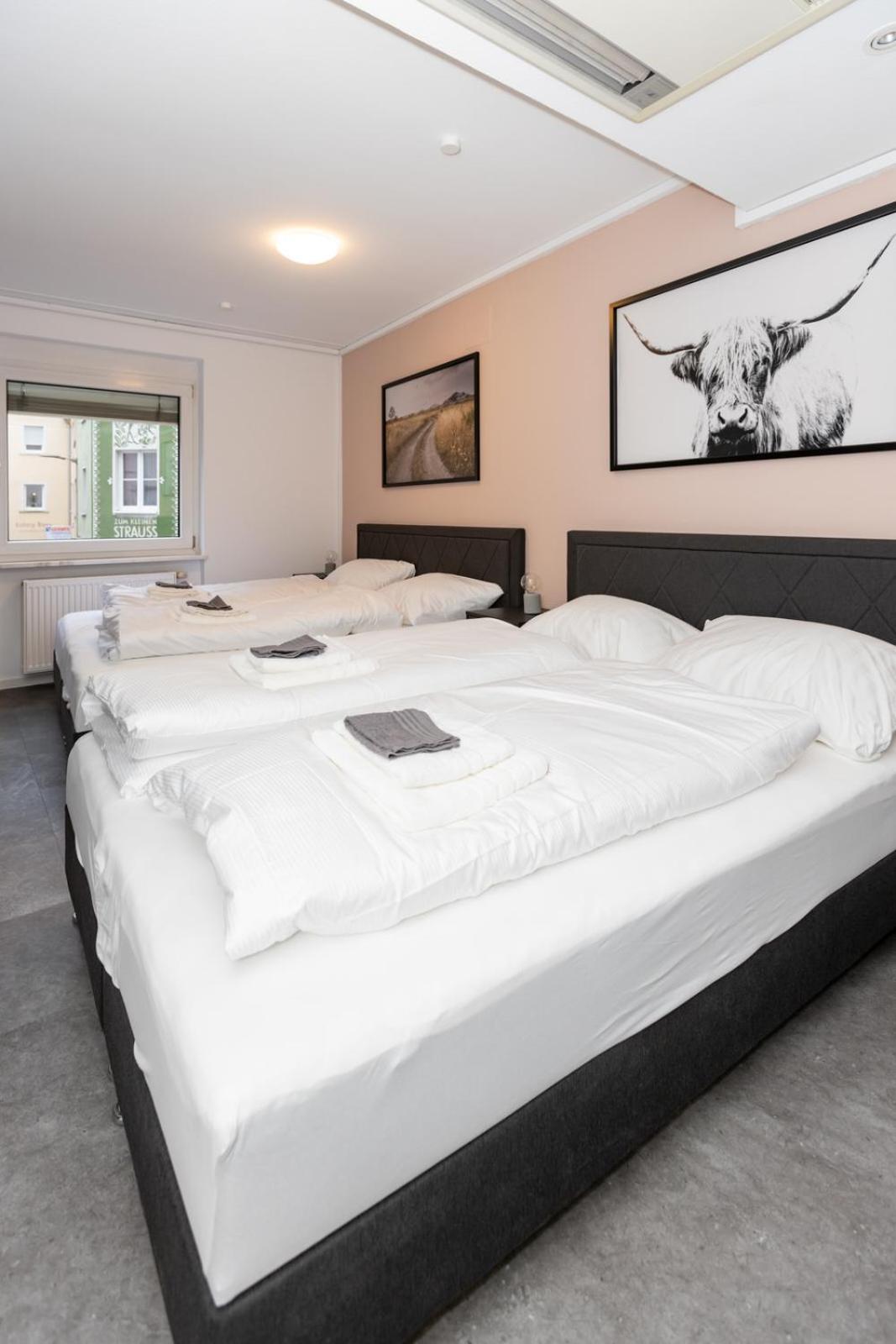Apartment Grosse In Der Altstadt Würzburg